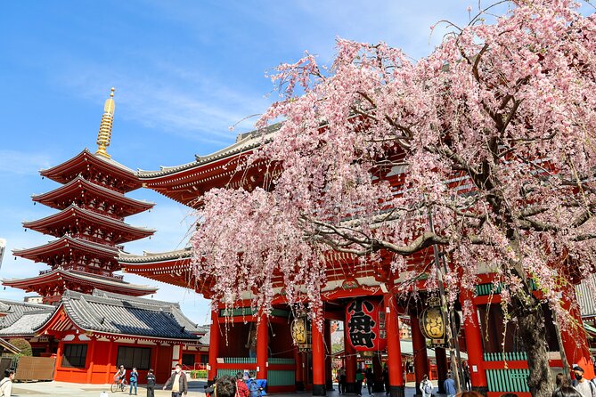 1-Day Tokyo Bus Tour - Key Highlights You’ll Actually Care About