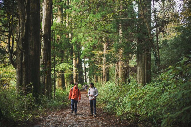 Custom Private Tour in Hakone with a Certified Local Guide - Why this private Hakone day feels less like a checklist