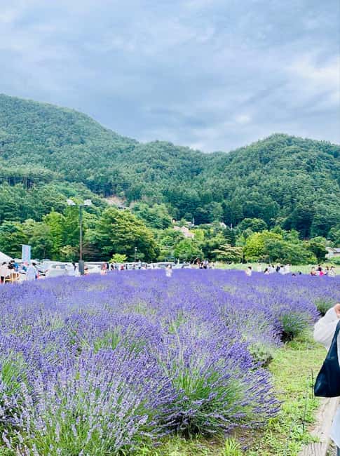 From Tokyo: Full-Day Mount Fuji Tour in English or Spanish - Entering the Fuji day: from Nishishinjuku to Fujiyoshida