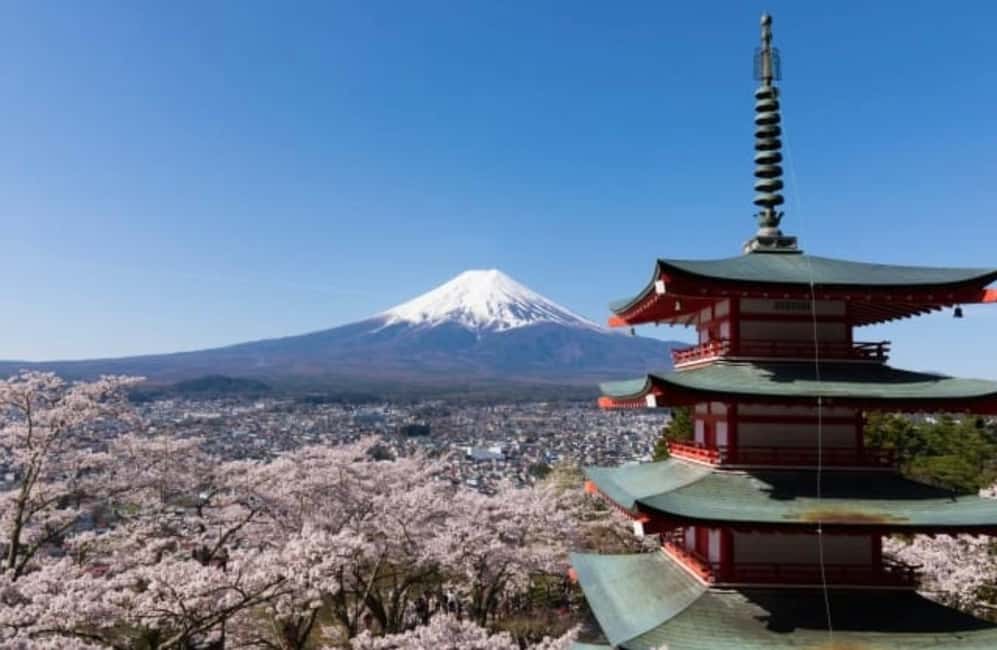 From Tokyo: Full-Day Mount Fuji Tour in English or Spanish - Kitaguchi Hongu Fuji Sengen Shrine: the northern entrance with UNESCO status