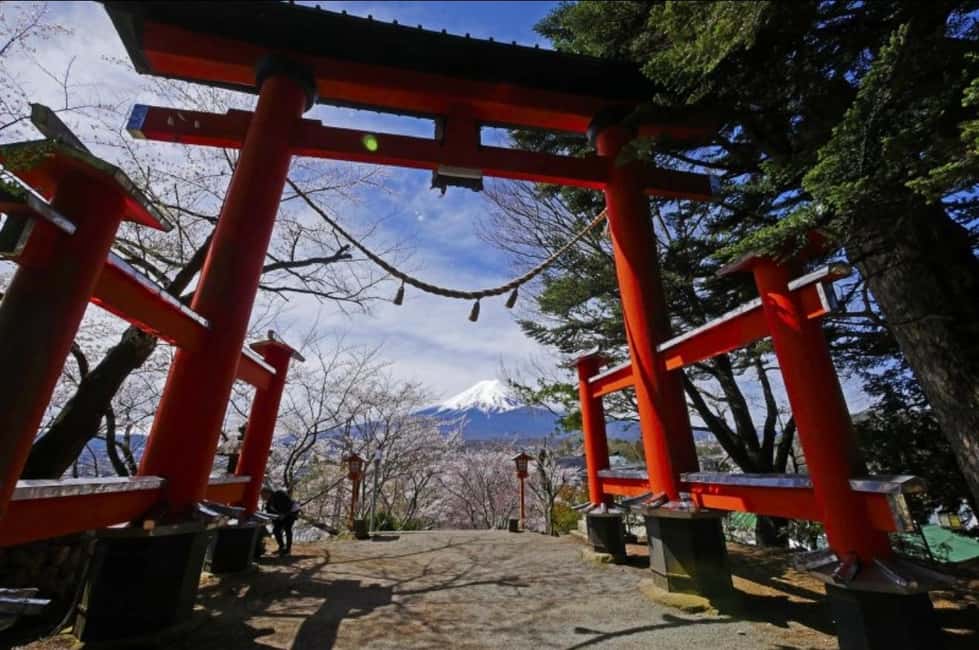 From Tokyo: Full-Day Mount Fuji Tour in English or Spanish - Arakurayama Sengen Park: the viewpoint with the religious gravity