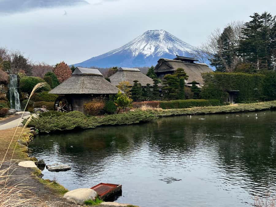 From Tokyo: Mount Fuji and Hakone Private Day Trip - Key things that make this day trip worth it