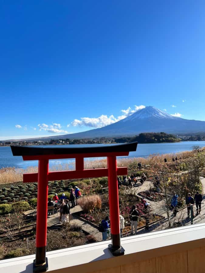 From Tokyo: Mount Fuji and Hakone Private Day Trip - Price and what you’re really buying at $438 per group