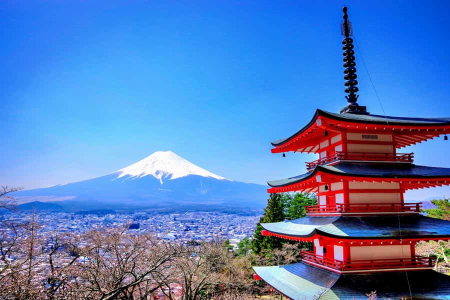 From Tokyo: Mount Fuji and Hakone Private Day Trip - Subaru 5th Station: the highest paved experience and its shrine stop