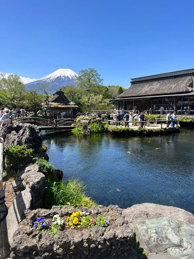 From Tokyo: Mount Fuji and Hakone Private Day Trip - Oshino Hakkai: eight ponds, snowmelt water, and easy strolling