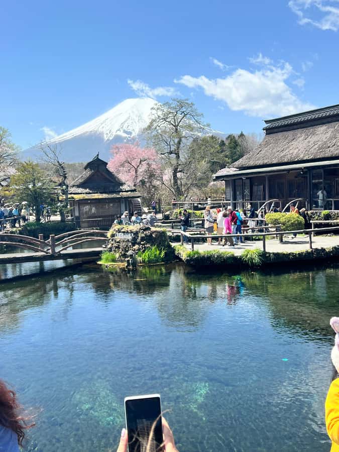 From Tokyo: Mount Fuji and Hakone Private Day Trip - Hakone’s Owakudani and ropeway views: sulfur, steam, and panoramas