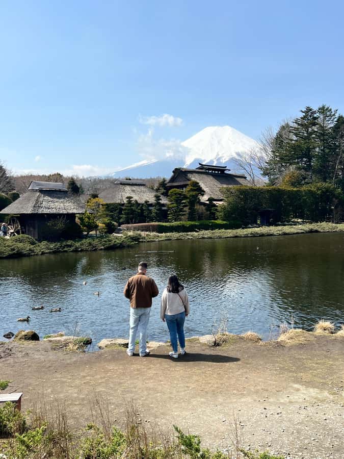 From Tokyo: Mount Fuji and Hakone Private Day Trip - Lake Ashi pirate cruise (optional): why it’s a top use of time