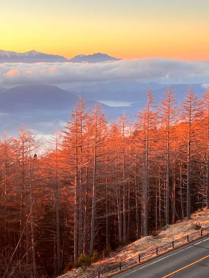From Tokyo: Mount Fuji and Hakone Private Day Trip - The Mt Fuji visibility game: what your guide will do with bad weather