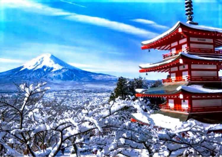 From Tokyo: Mount Fuji Full Customized Tour English Guide - Key Points to Know Before You Go