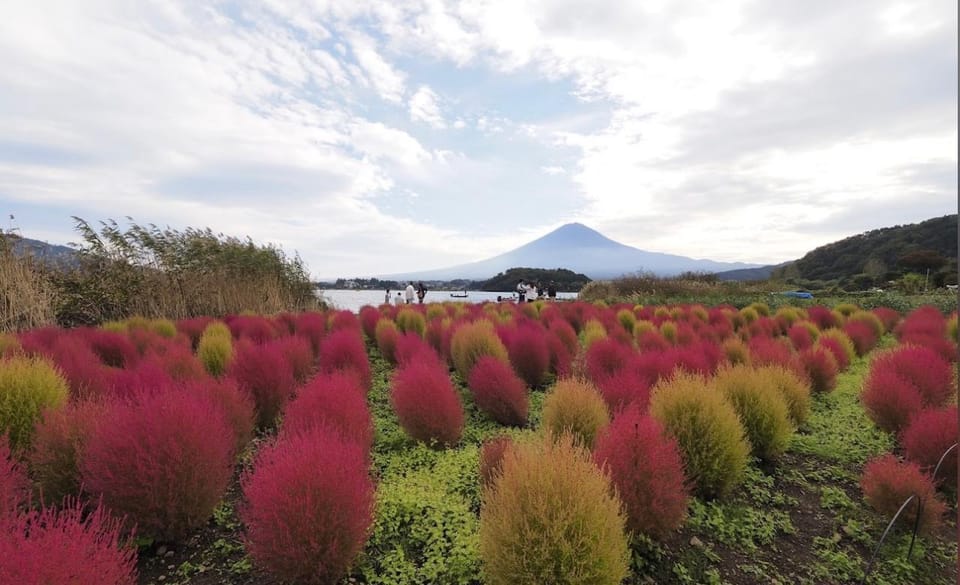 From Tokyo: Mount Fuji Full Customized Tour English Guide - Who This Tour Fits Best (And Who Should Reconsider)