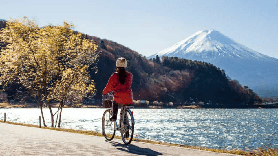 From Tokyo: Mount Fuji Full Customized Tour English Guide - Timing, Pickup, and What’s Included (So You Can Budget Smart)