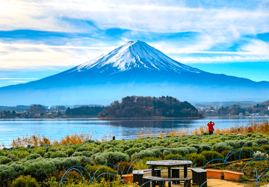 From Tokyo: Mount Fuji Full Day Customizable Private Tour - Key reasons this Fuji-and-Hakone day feels worth it