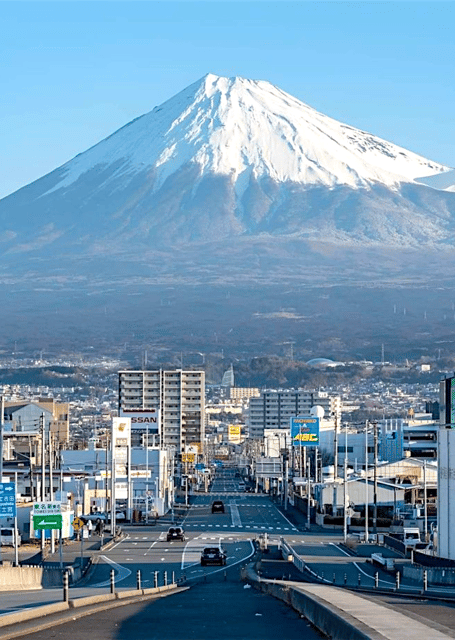 From Tokyo: Mount Fuji Full Day Customizable Private Tour - Fuji 5th Station: the high viewpoint and the seasonal catch