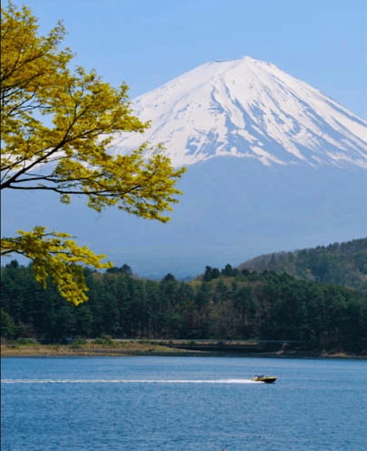 From Tokyo: Mount Fuji Full Day Customizable Private Tour - Oshino Hakkai: eight ponds, clear water, and an easy walk