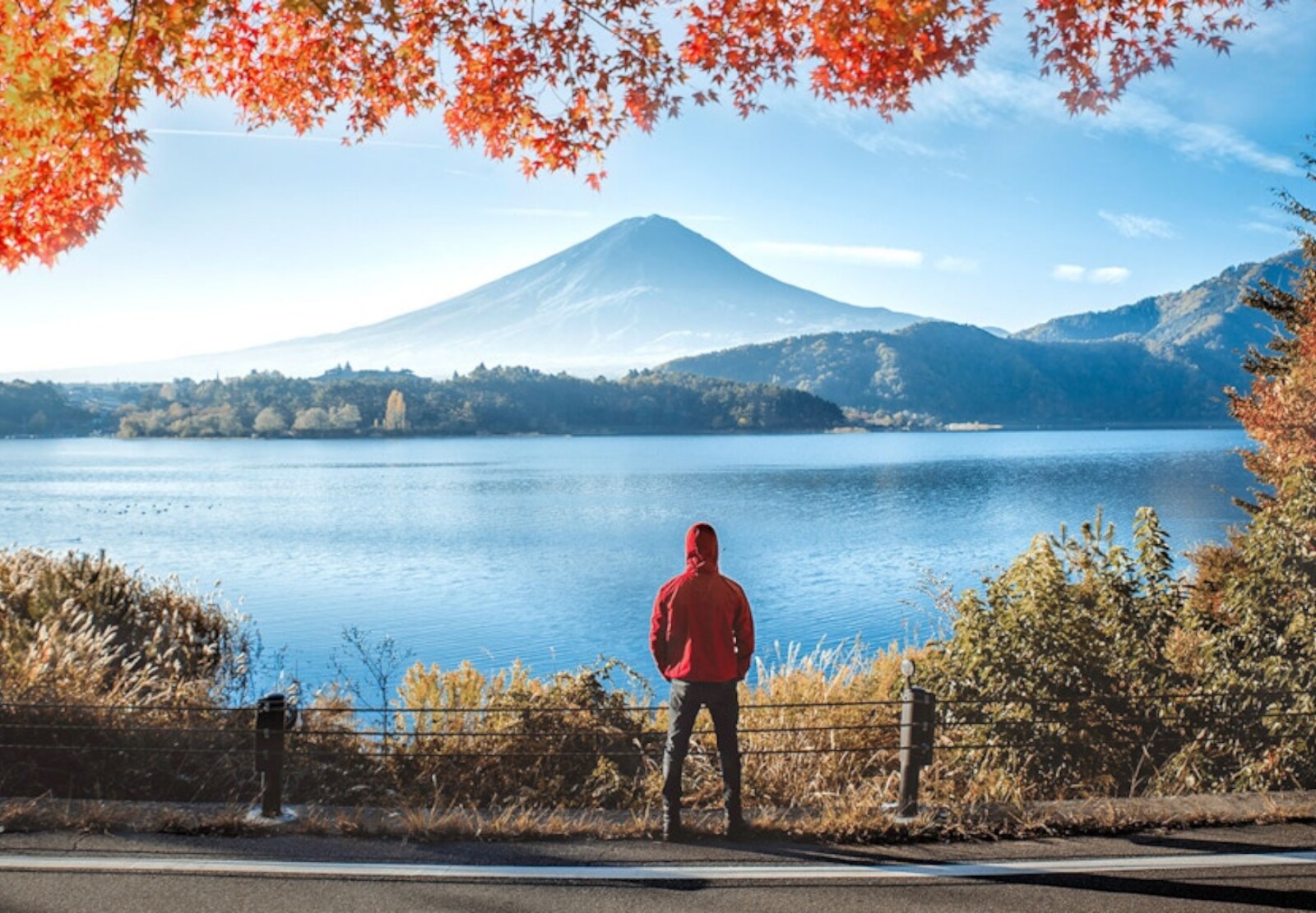 From Tokyo: Mount Fuji Full Day Customizable Private Tour - Chureito Pagoda: the iconic Fuji photo (and the spring advantage)
