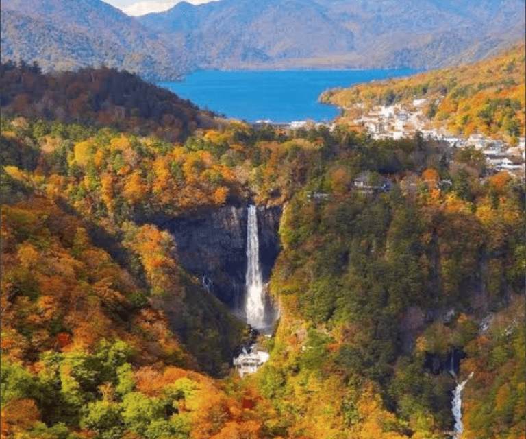 From Tokyo: Mount Fuji Full Day Customizable Private Tour - Leaving Tokyo Smoothly: Pickup Areas and the Transfer Reality