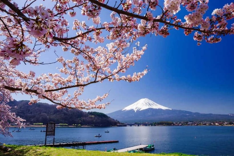 From Tokyo: Mount Fuji Full Day Private Customizable Tour - Key things you’ll notice right away