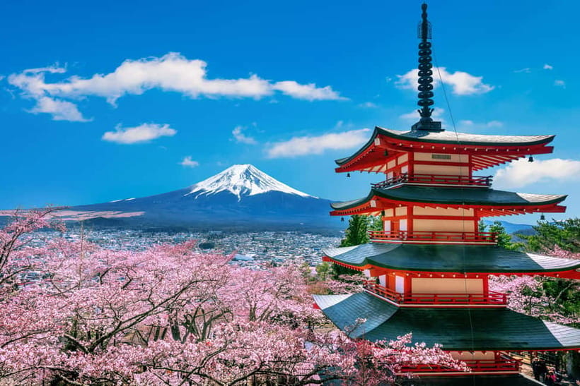 From Tokyo: Mount Fuji Full Day Private Customizable Tour - Why a private Mt. Fuji day beats the usual bus plan