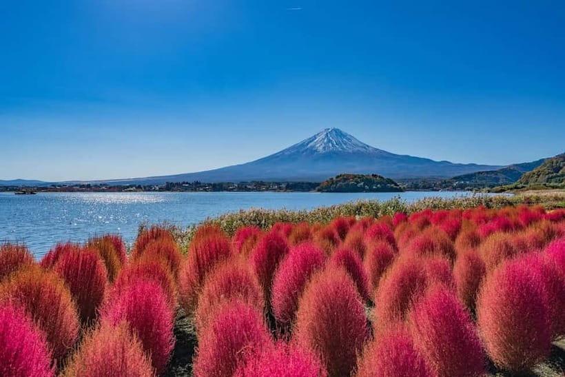 From Tokyo: Mount Fuji Full Day Private Customizable Tour - Timing tips: starting early can mean almost-empty viewpoints