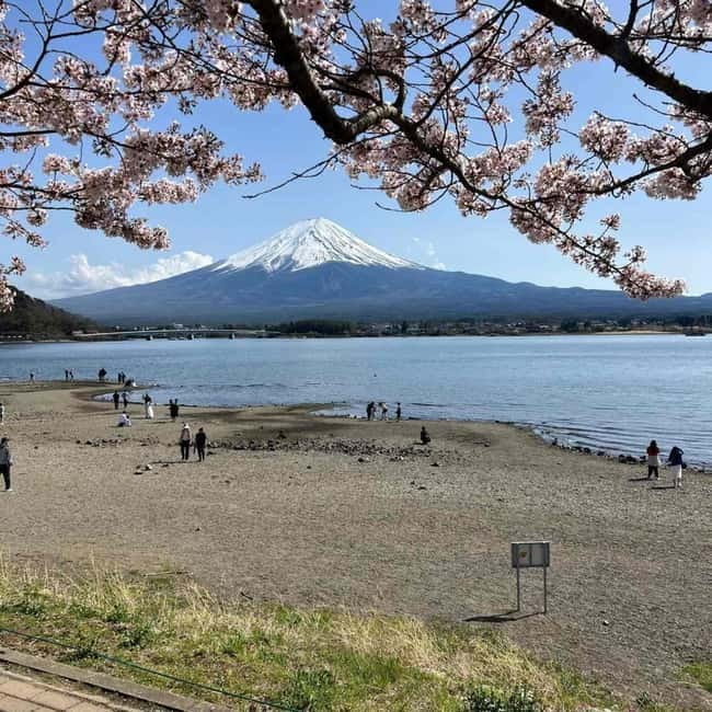 From Tokyo: Mount Fuji Full-Day Private Tour (Customizable) - Key points worth planning around