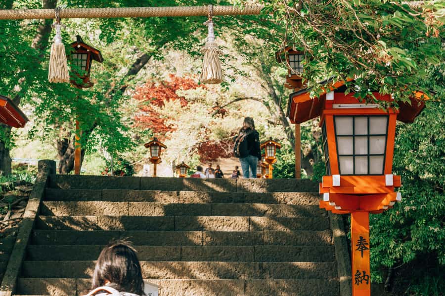 From Tokyo: Mount Fuji Full-Day Private Tour (Customizable) - Weather, clouds, and rainy-day Fuji country