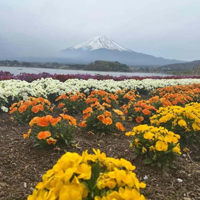 From Tokyo: Mount Fuji Full-Day Private Tour (Customizable) - Arakurayama Sengen Park and the Chureito Pagoda photo mission