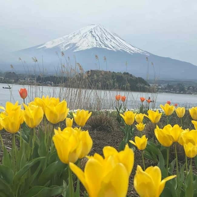 From Tokyo: Mount Fuji Full-Day Private Tour (Customizable) - Oshino Hakkai: spring-fed ponds and a slower kind of Japan