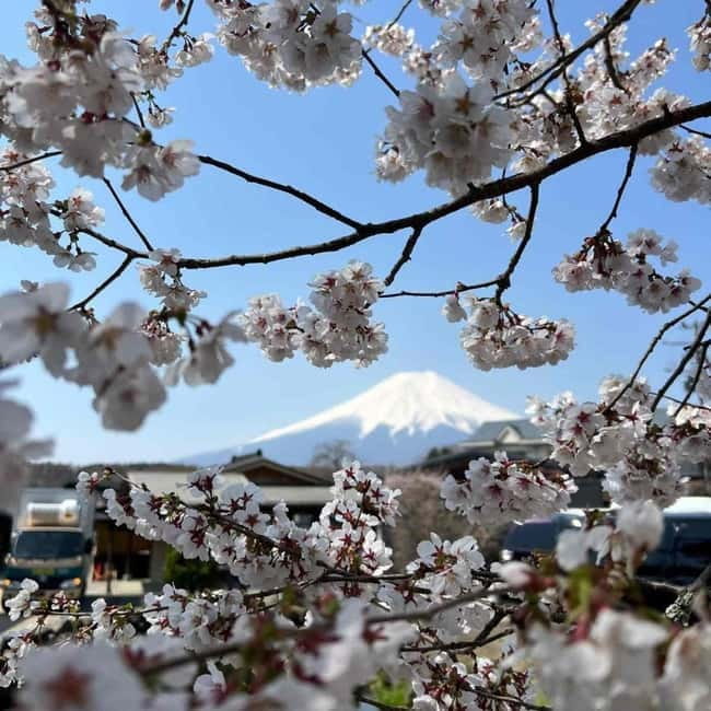 From Tokyo: Mount Fuji Full-Day Private Tour (Customizable) - Price and value for a group up to 6 (and sometimes up to 7)