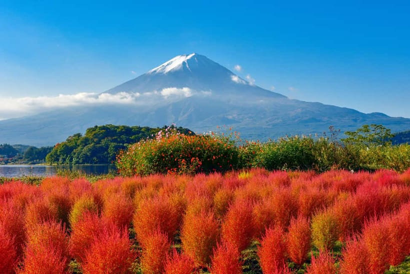 From Tokyo: Mount Fuji Full-Day Sightseeing Trip - Quick Highlights You’ll Feel Immediately