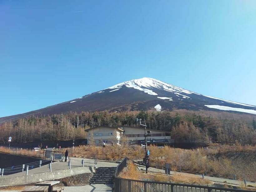 From Tokyo: Mount Fuji Full-Day Sightseeing Trip - Walking Pace, Crowd Timing, and How to Keep It Comfortable