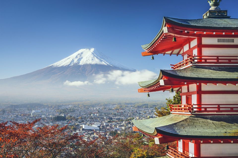 From Tokyo: Mount Fuji Private Day Tour - Price and value: what $483 buys (and what it doesn’t)