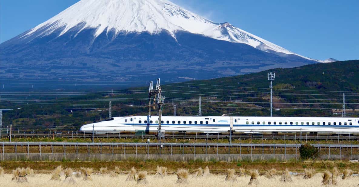 From Tokyo: Mt. Fuji & Hakone Tour w/ Return by Bullet Train - Key highlights