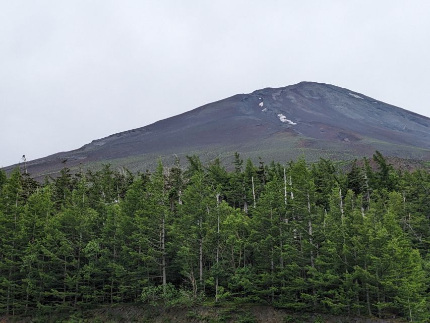 From Tokyo: Mt. Fuji & Hakone Tour w/ Return by Bullet Train - Returning to Tokyo by Shinkansen from Odawara: fast, but plan your own ride