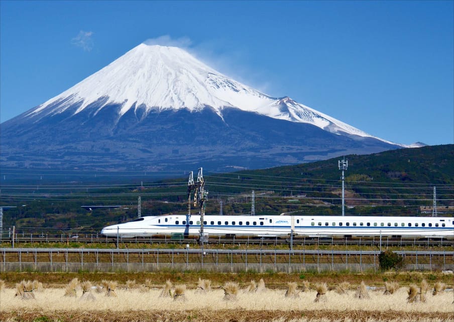 From Tokyo: Mt. Fuji & Hakone Tour w/ Return by Bullet Train - Price and value: what $117 buys you in real-world convenience