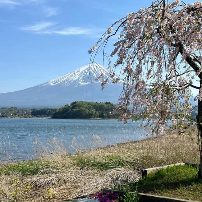 From Tokyo: Mt Fuji Private Day Tour In Luxury Land Cruiser - Mt. Fuji 5th Station for a High-Altitude First Look