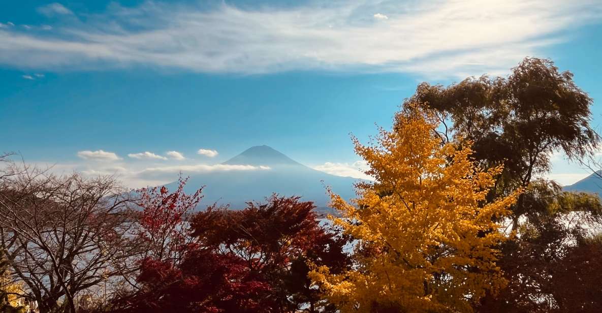 From Tokyo: Mt.Fuji, Tea Ceremony & Outlet Shopping Day Tour - Shinjuku Meeting Point: Find the Yellow Flag, Then Relax