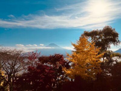 From Tokyo: Mt.Fuji, Tea Ceremony & Outlet Shopping Day Tour - Lake Kawaguchi: Morning Photos, Walking Time, and Matcha at Shikido