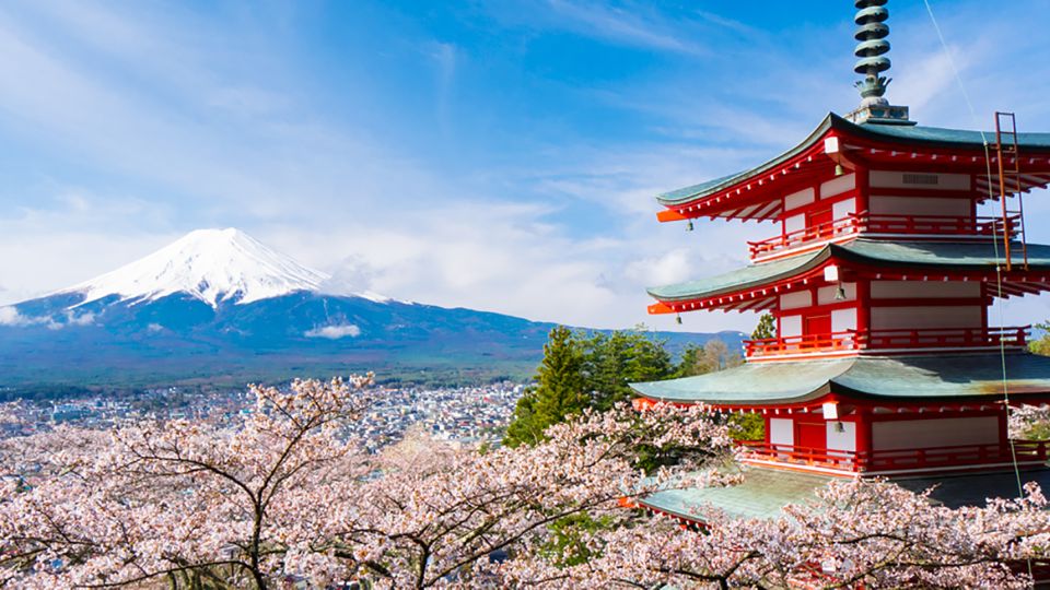 From Tokyo: Mt.Fuji, Tea Ceremony & Outlet Shopping Day Tour - Comfort, Timing, and the Realities of Road Travel
