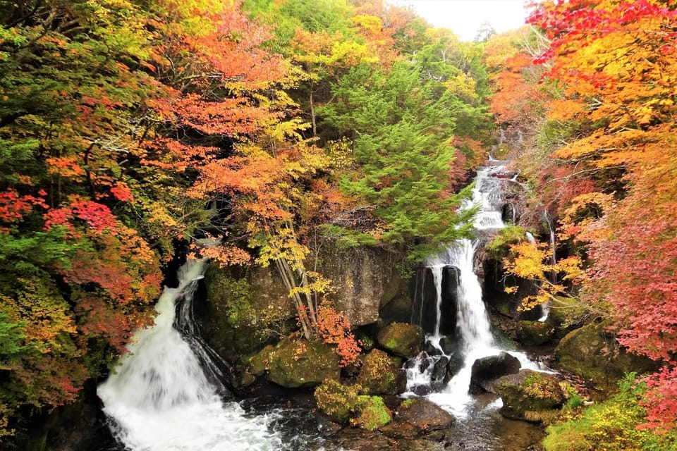 From Tokyo: Nikko World Heritage Site Private Full-Day Trip - Lake Chuzenji: calm alpine time and a slower rhythm