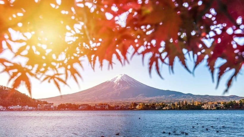 From Tokyo: Private Mt. Fuji and Hakone Tour by Car - Why This Private Hakone and Mt. Fuji Day Fits Most People