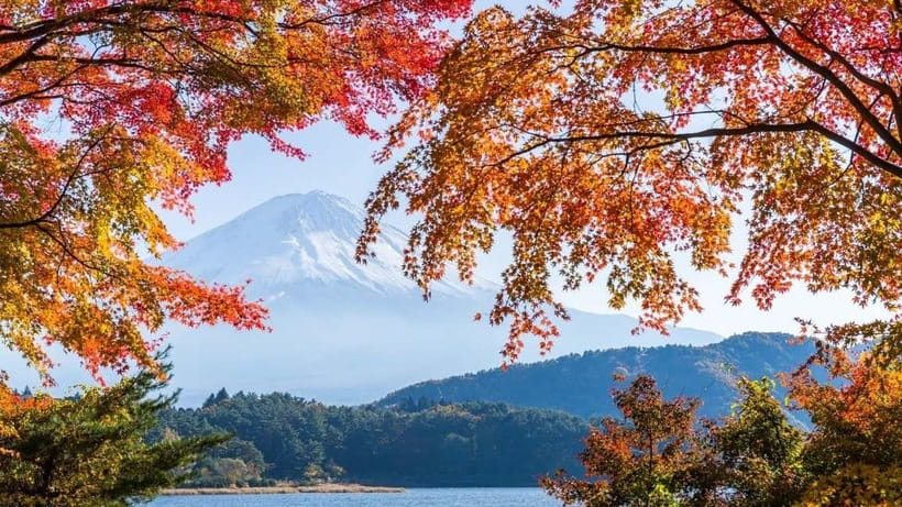 From Tokyo: Private Mt. Fuji and Hakone Tour by Car - Yamanakako: Lake-Level Fuji Reflections Without the Crowds-Only Stress