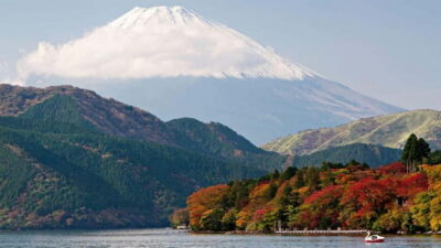 From Tokyo: Private Mt. Fuji and Hakone Tour by Car - Mt. Fuji 5th Station (Komitake Baiten): What the Optional Higher View Really Gives