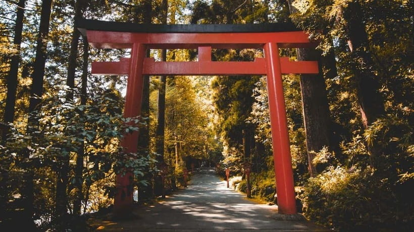 From Tokyo: Private Mt. Fuji and Hakone Tour by Car - Price and Value: What You’re Really Paying For