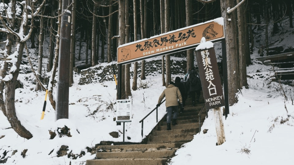 From Tokyo: Private Tour Snow Monkey Park & Zenko-ji Temple - Obuse Stroll: Between Winter Views and Local Taste