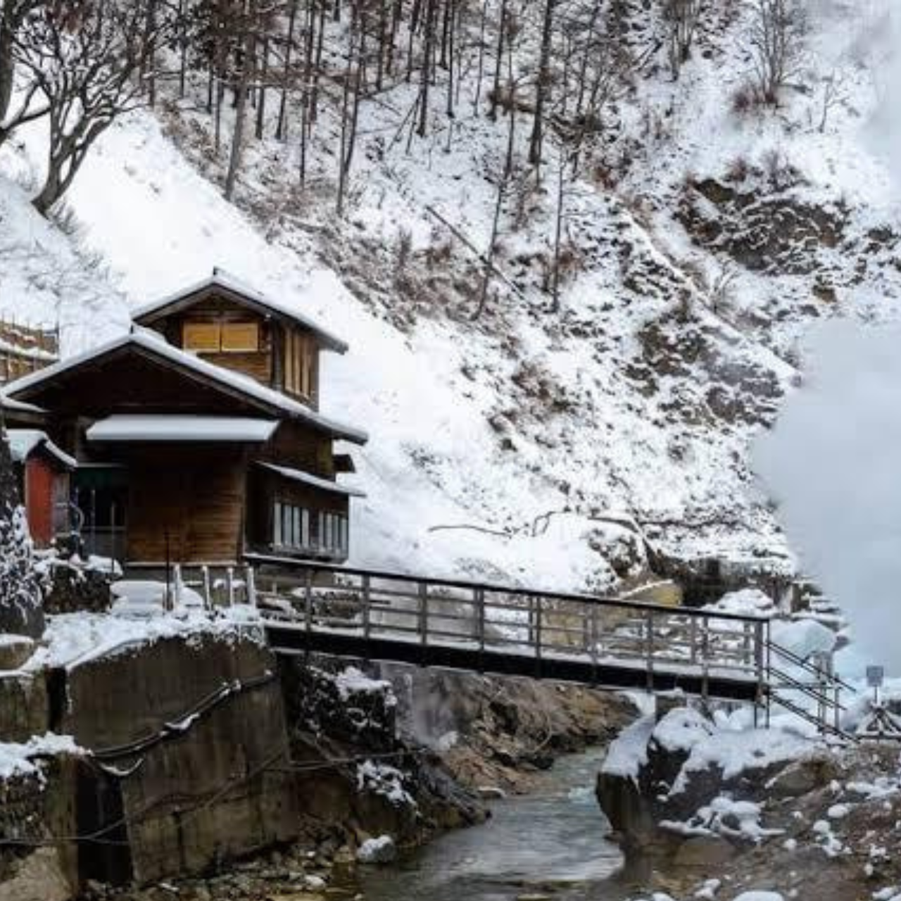 From Tokyo: Private Tour Snow Monkey Park & Zenko-ji Temple - Price and Value at $445 for Up to 6