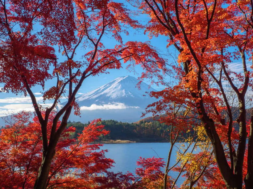 From Tokyo: Private Tour to Fuji/Hakone - Onsen, Art, Nature - The Real Value of $322: What You’re Paying For