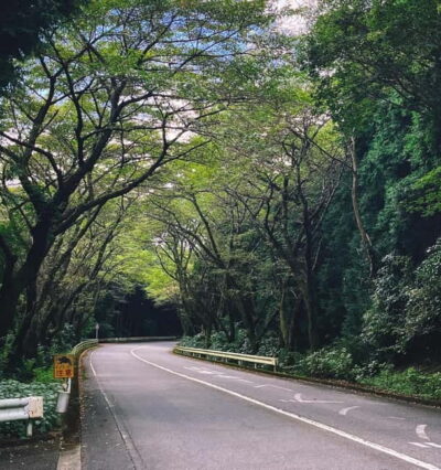 From Tokyo: Private Tour to Fuji/Hakone - Onsen, Art, Nature - From Tokyo Pickup to a Comfortable Van Rhythm