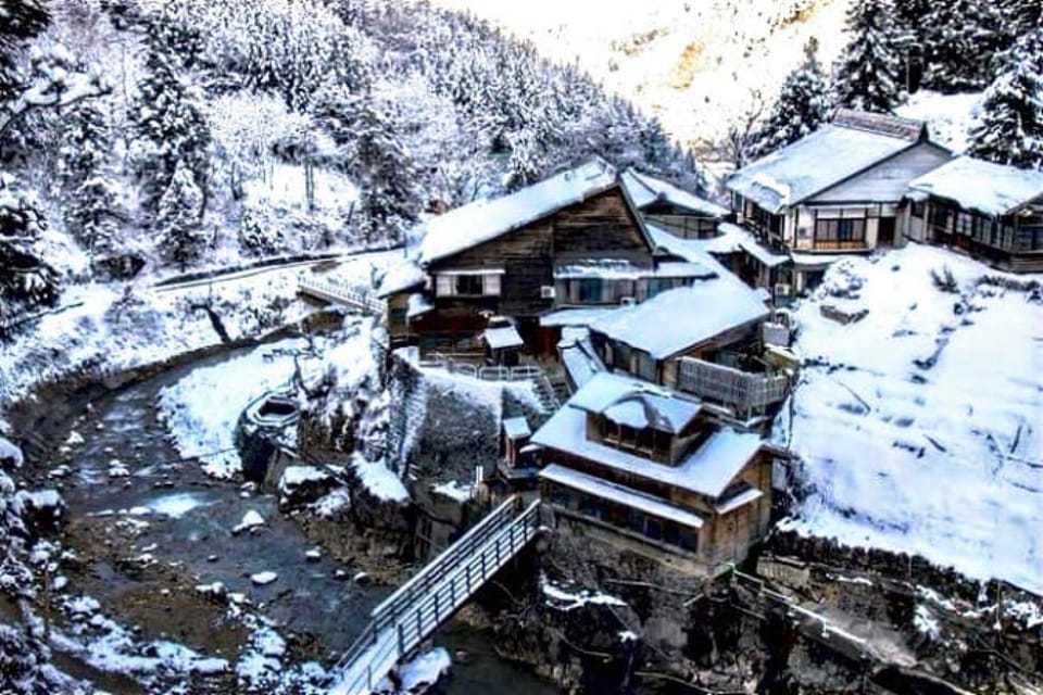 From Tokyo: Snow Monkey Private Customize Day Tour - Matsumoto and Matsushiro Castle Ruins: adding variety without losing the plot