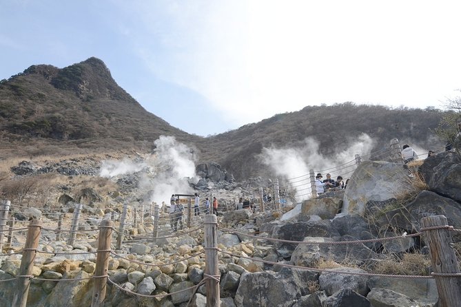 Hakone 6 hour Private Tour with Government-Licensed Guide - Picking the best 3–4 stops from Hakone’s menu