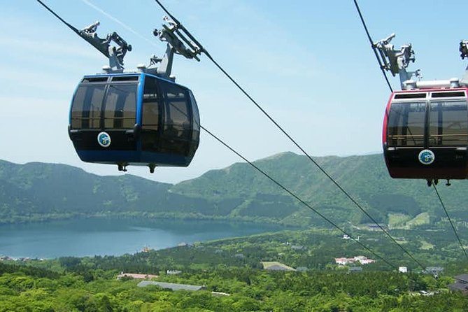 Hakone 8 hour Private Tour with Government-Licensed Guide - Choose 4–5 stops: building your own Hakone highlight reel